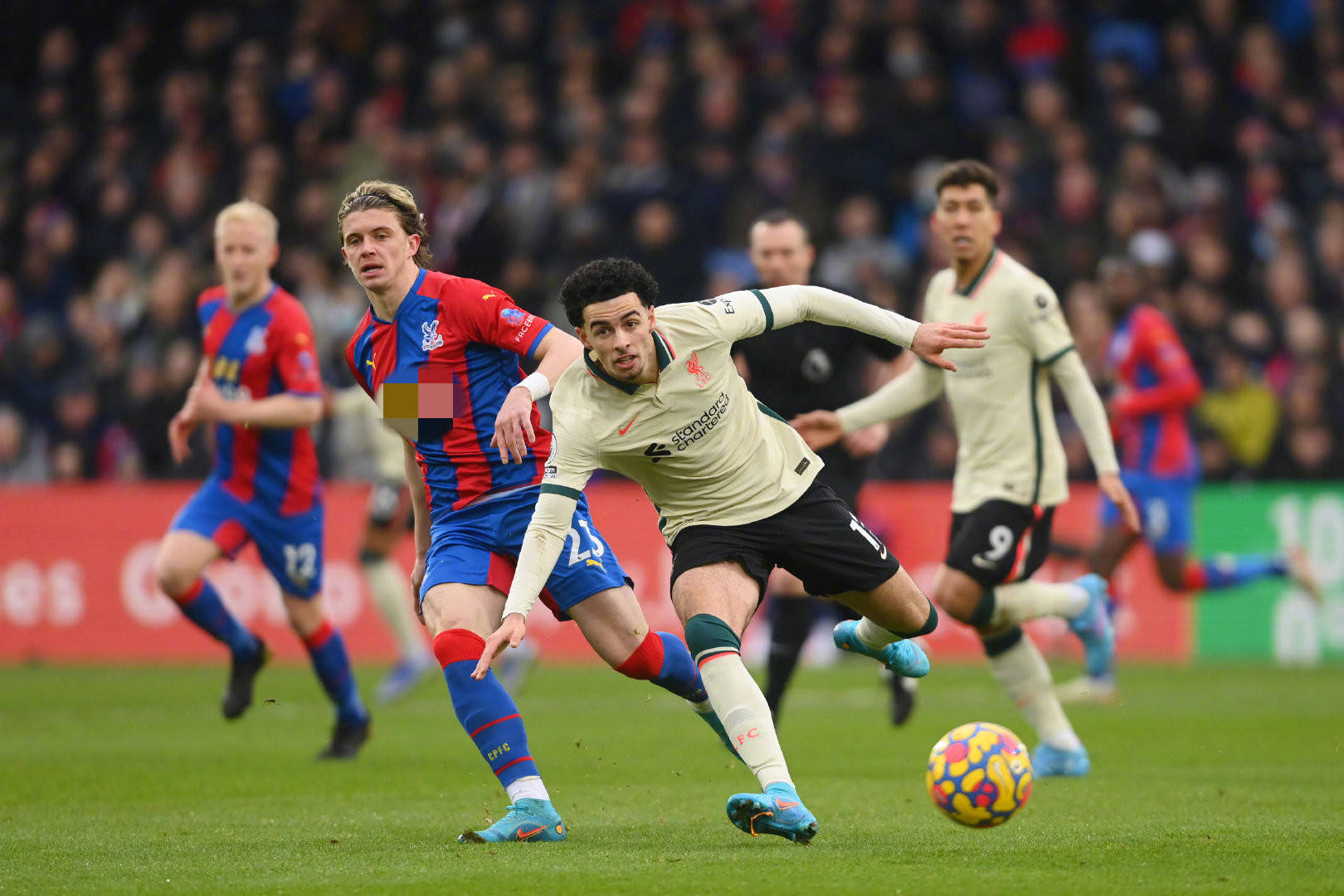 曾靠分拣螺 曾靠分拣螺